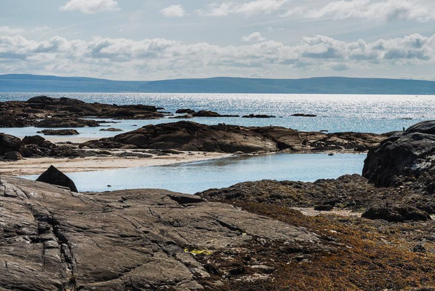 06dff720-9ddc-4c3c-bb3e-e02b28eb4209